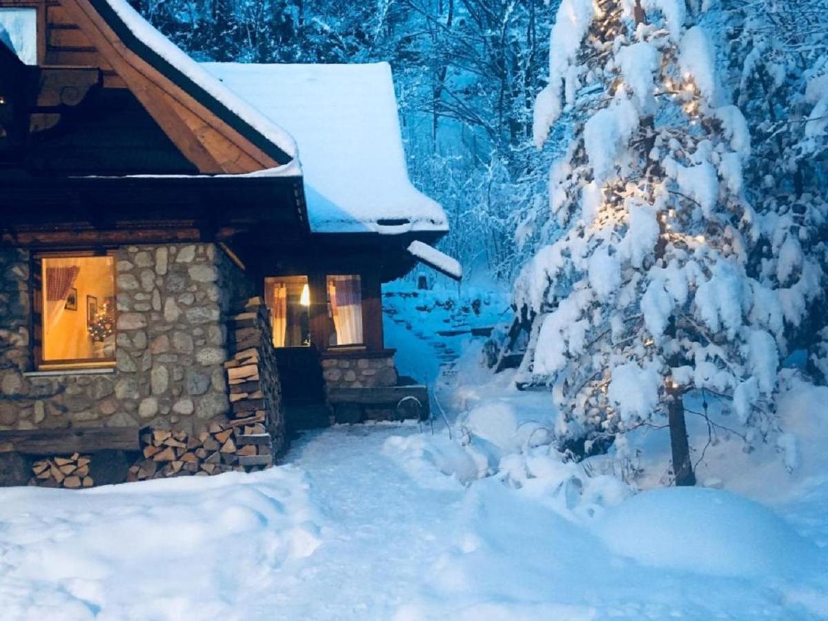 Apartament Jaworzyna Zakopane Kültér fotó
