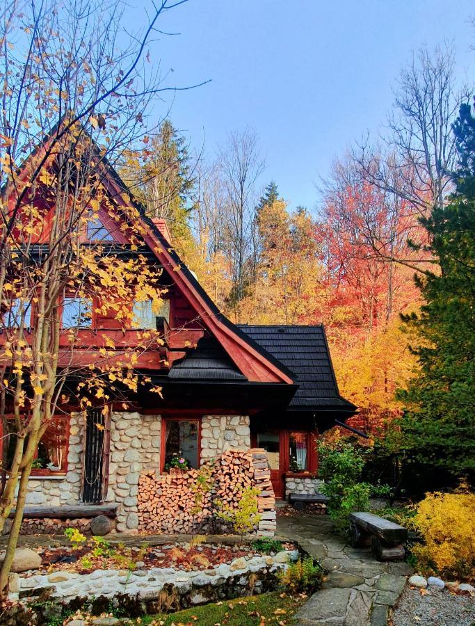 Apartament Jaworzyna Zakopane Kültér fotó